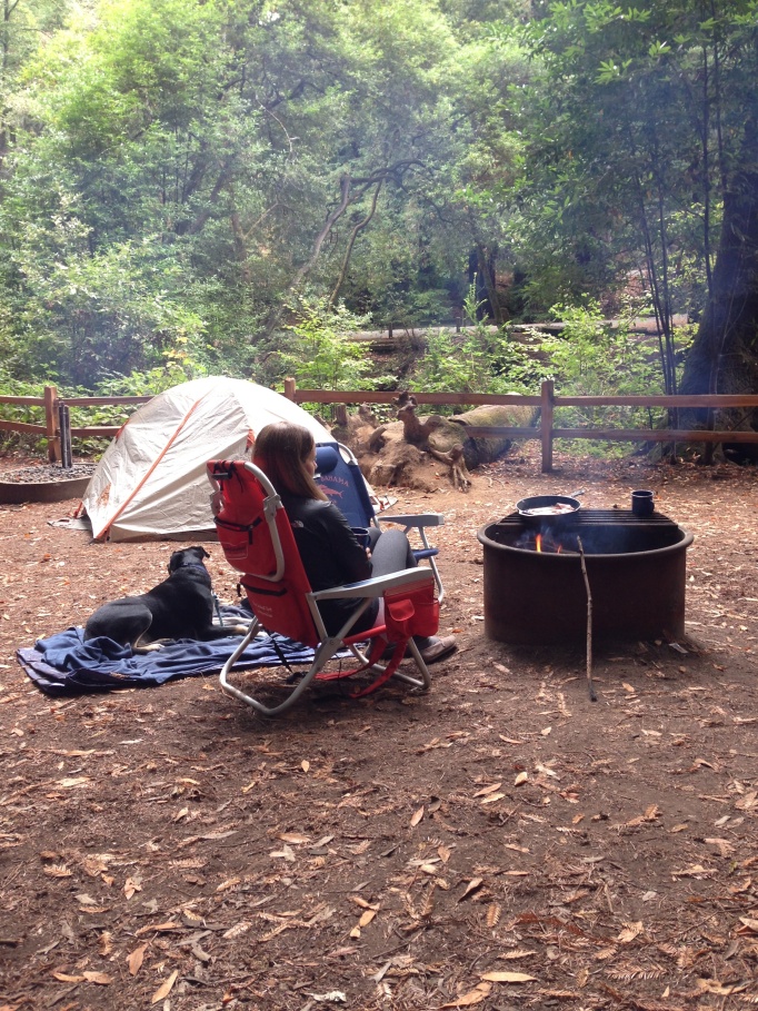 Camping Samuel P Taylor 2014 4